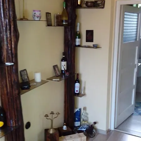 Casa Cosmin